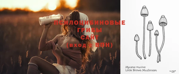ешки Абаза