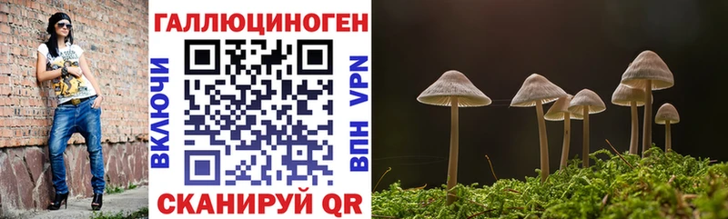 где продают наркотики  Белоозёрский  Галлюциногенные грибы GOLDEN TEACHER 